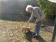 Enlarge photo 30