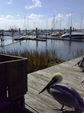 Enlarge photo 12