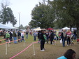 Enlarge photo 61