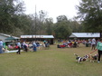 Enlarge photo 59