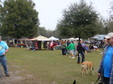 Enlarge photo 58