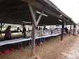Enlarge photo 53