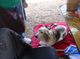 Enlarge photo 52
