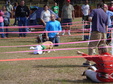 Enlarge photo 50