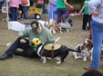 Enlarge photo 41