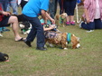 Enlarge photo 39