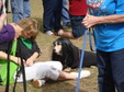 Enlarge photo 37