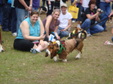 Enlarge photo 35
