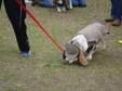 Enlarge photo 32