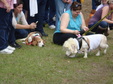 Enlarge photo 29
