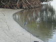 Enlarge photo 35