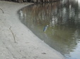 Enlarge photo 36