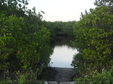 Enlarge photo 40