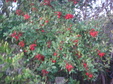 Enlarge photo 41