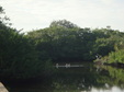 Enlarge photo 42