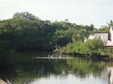 Enlarge photo 43
