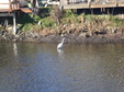 Enlarge photo 44