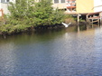 Enlarge photo 45