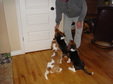 Enlarge photo 7