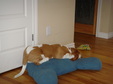 Enlarge photo 13