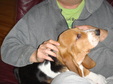 Enlarge photo 20