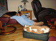 Enlarge photo 25