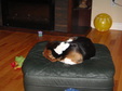 Enlarge photo 26