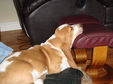 Enlarge photo 27