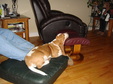 Enlarge photo 28