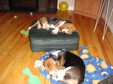 Enlarge photo 29