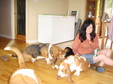 Enlarge photo 6