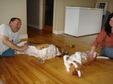 Enlarge photo 9