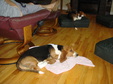 Enlarge photo 15