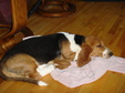 Enlarge photo 17
