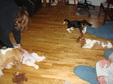 Enlarge photo 4