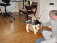 Enlarge photo 7