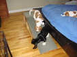 Enlarge photo 12