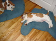 Enlarge photo 14