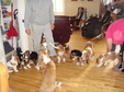 Enlarge photo 18