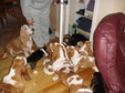 Enlarge photo 20