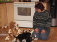 Enlarge photo 22