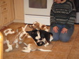 Enlarge photo 23