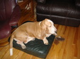Enlarge photo 26