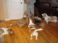 Enlarge photo 30