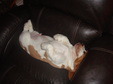 Enlarge photo 37