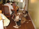 Enlarge photo 15