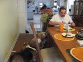 Enlarge photo 16