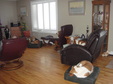 Enlarge photo 23