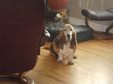 Enlarge photo 14