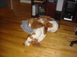 Enlarge photo 16